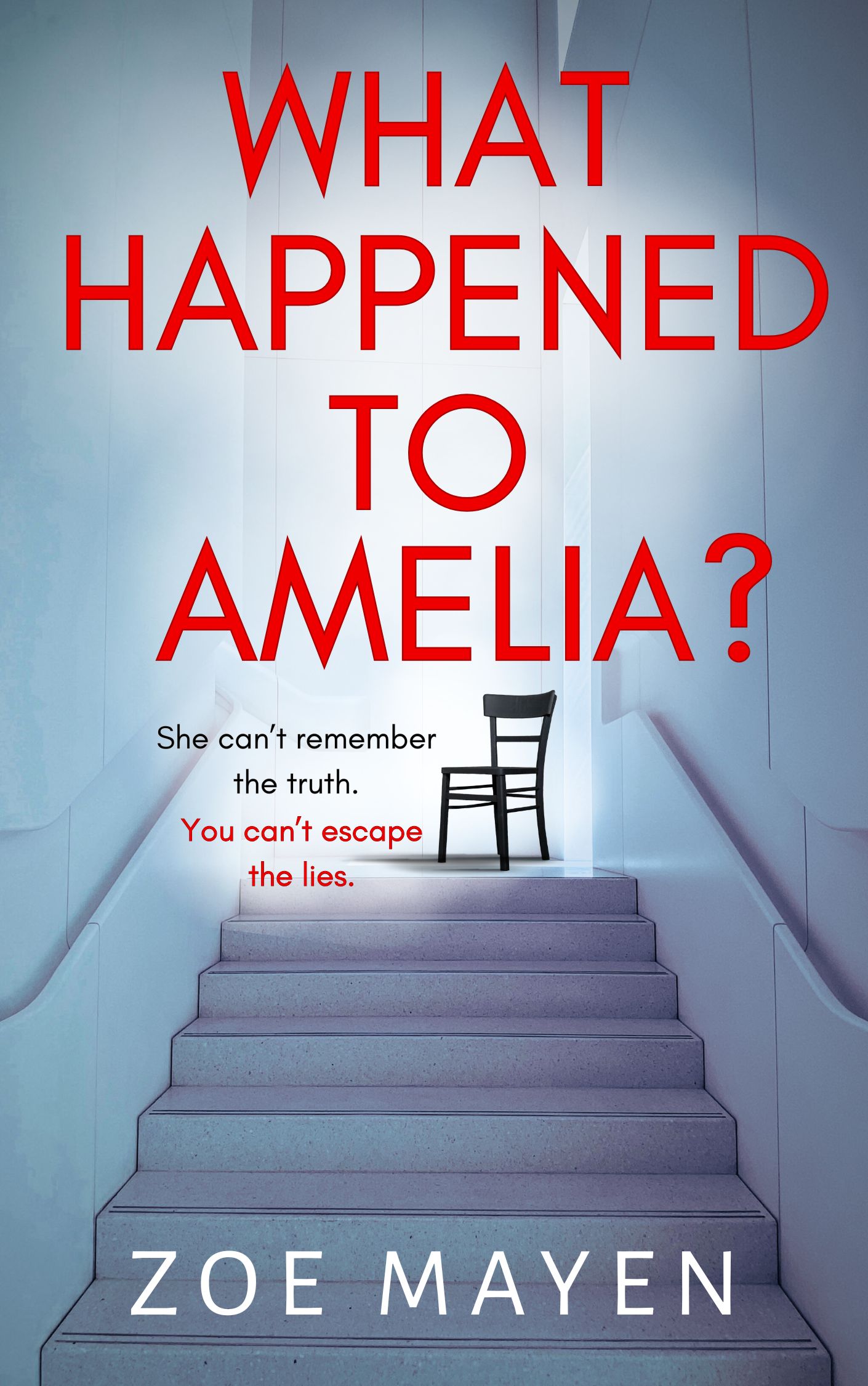 What Happened to Amelia? book cover